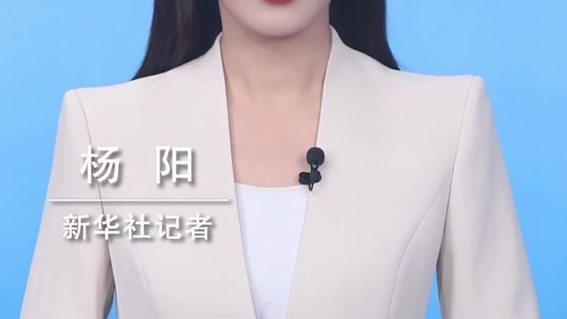 互联网技术产品经理：解码职业画像与胜任要素